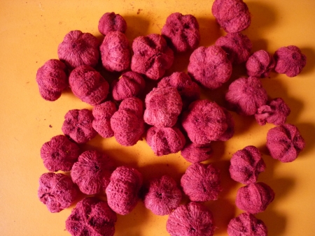 Gaya fruit loose-erven
