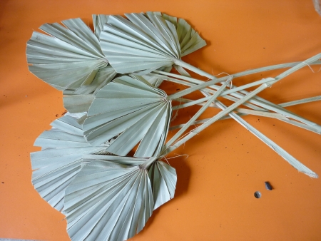 Palm spear