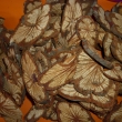 Pod wood naturs