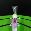 Pur Blanca Elegance