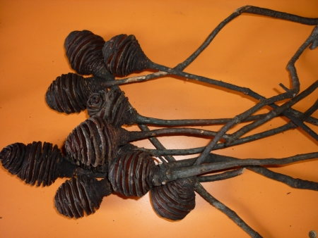Platyspernum-p��rodn�