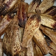 Mehoganya-d�ev�n� okurka