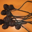 Platyspernum-p��rodn�