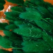 Lagurus-tmav� zelen�