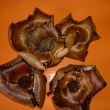 Palm cupa