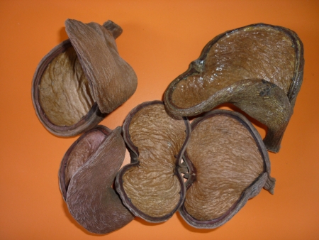 Badam-p��rodn�