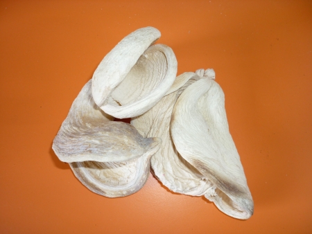 Badam-blen