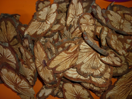 Pod wood naturs