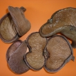 Badam-p��rodn�